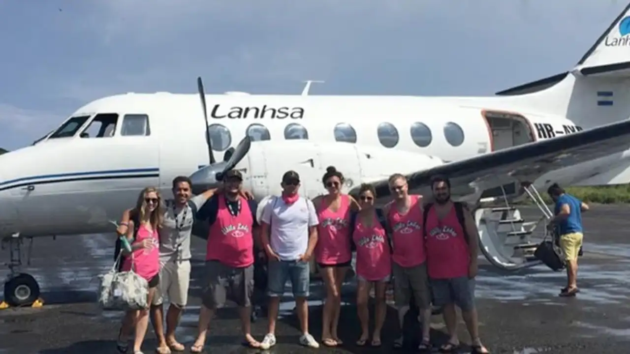 Команда сервиса Plex.