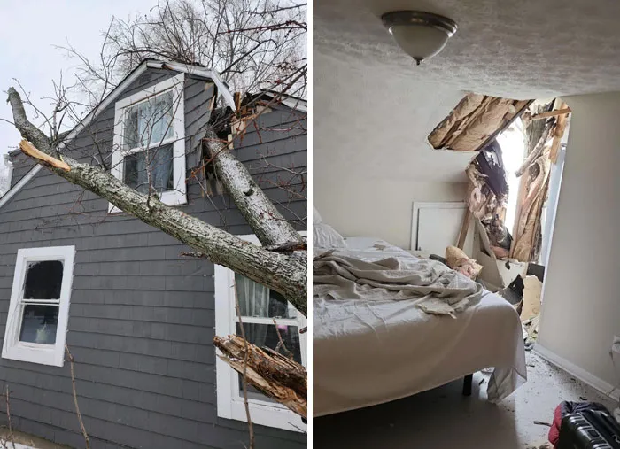 «С Рождеством».