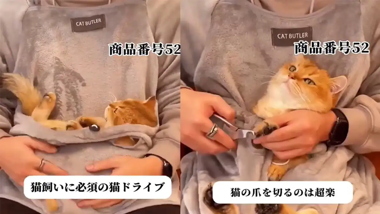 Фартук-переноска.