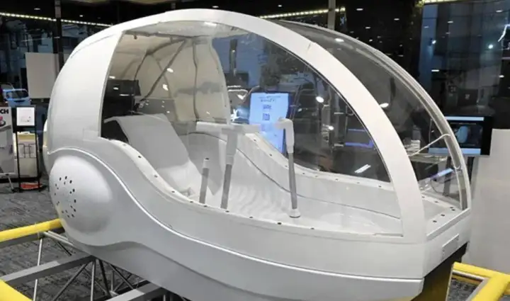 Mirai Ningen Sentakuki.