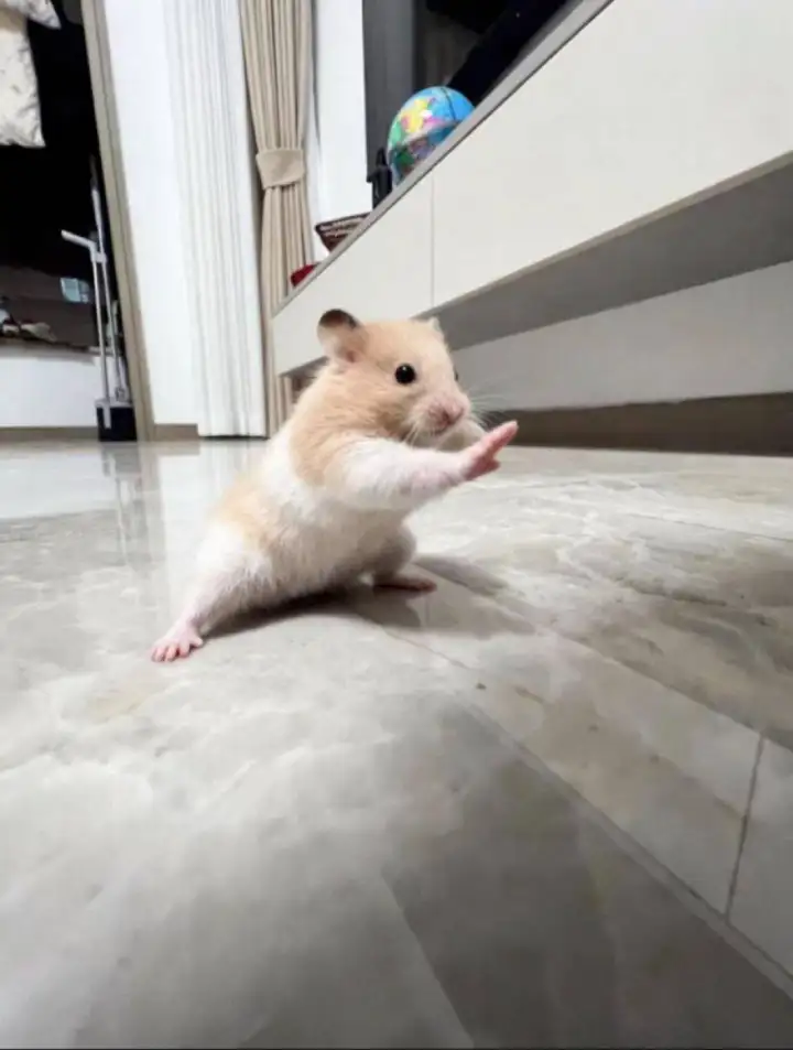 Оригинальная фотография. Оригинальная фотография.