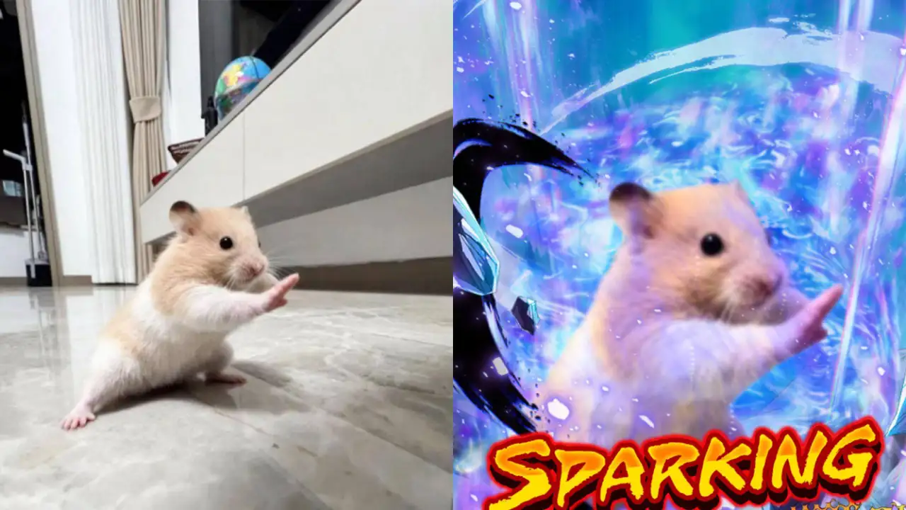 Кунг-фу хомяк.