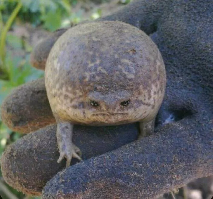 «Нет, не говори со мной. Я зол».