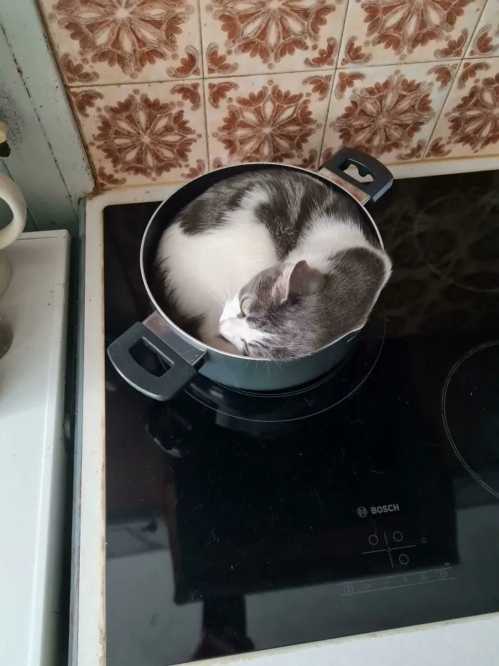 Идеальный круг.