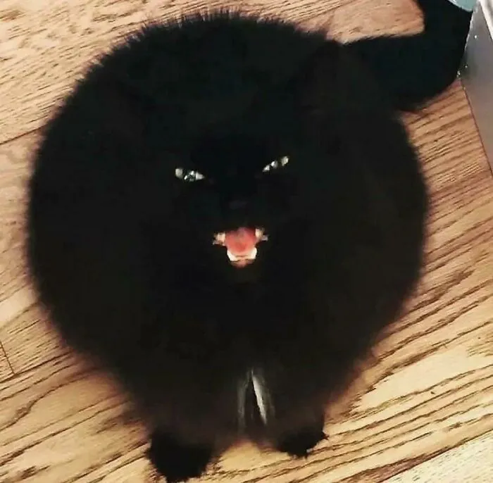 «Очень громко и очень кругло».