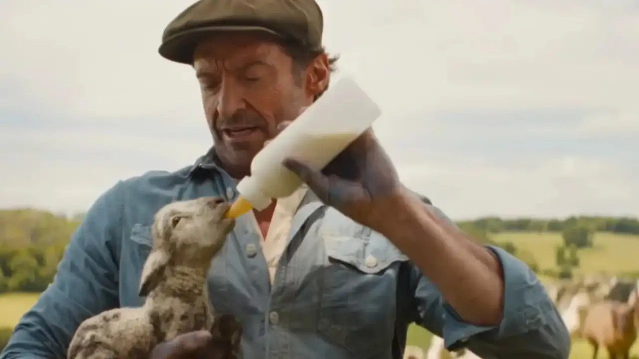 Кадр из фильма «Овечьи детективы».