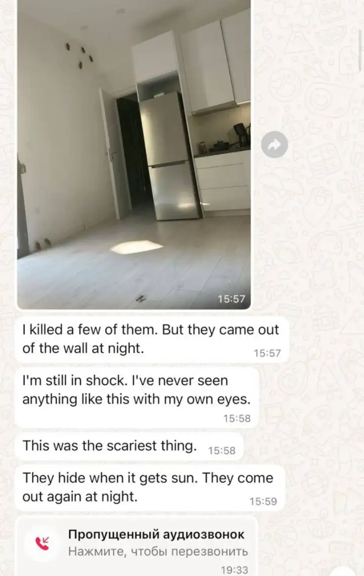 Скриншот переписки с постояльцем.