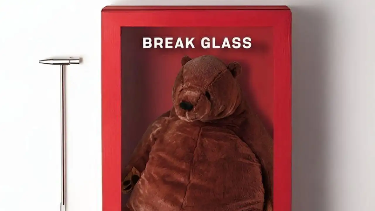 Игрушка, спасающая в случае экстренной потребности в обнимашках.