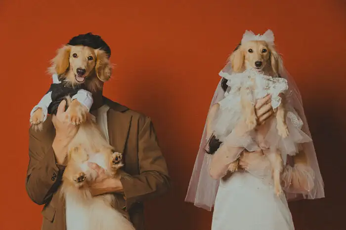 Фотография Джейдена Лима с сайта Jadencatalog, сделанная в Малайзии.