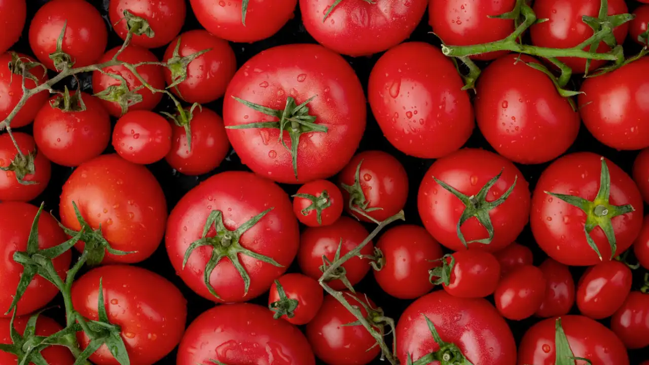 Томаты