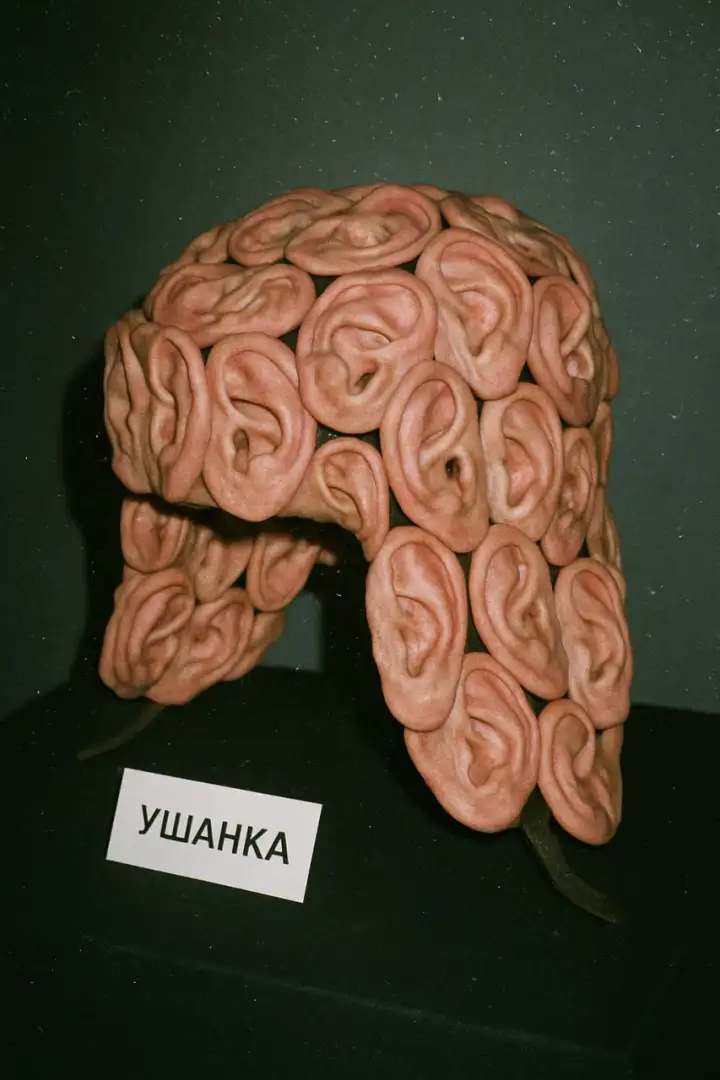 Ушанка.