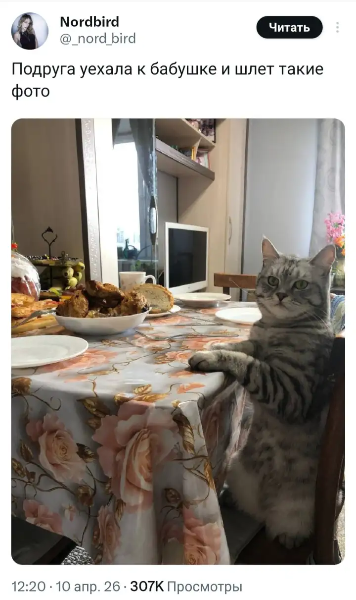 Оригинальный пост. Оригинальный пост.