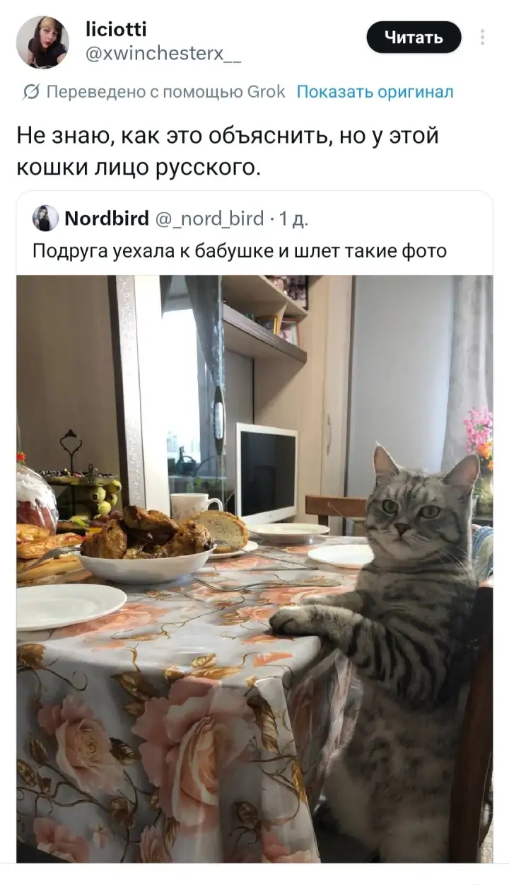 И как Испания. И как Испания.