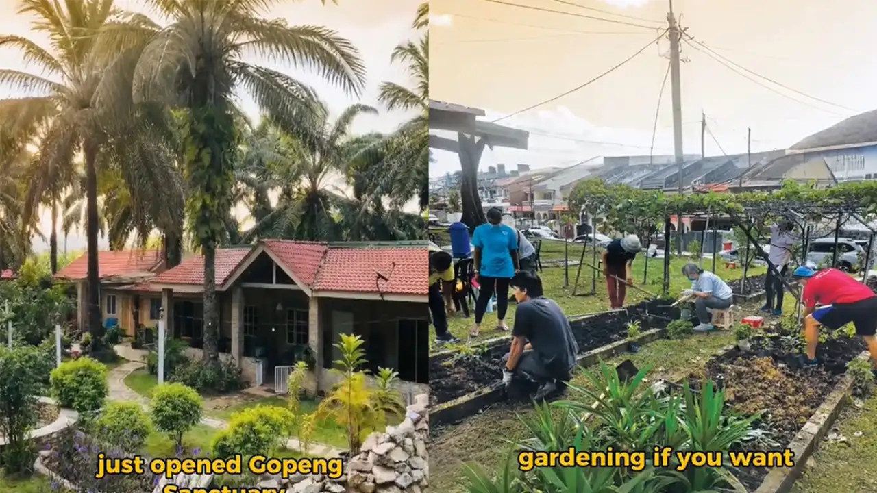 Дом престарелых для молодежи.