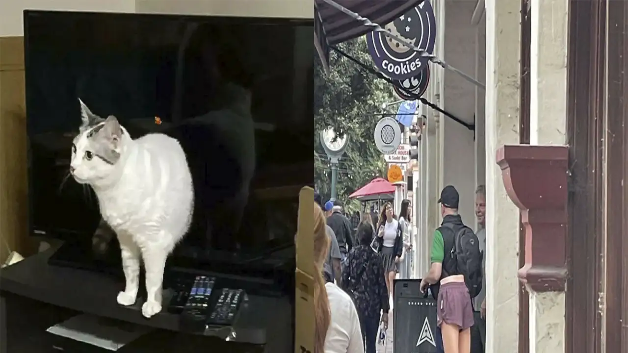 Оптические иллюзии.