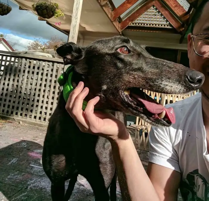 Отличные зубки.