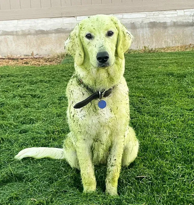 Теперь он зеленый мальчик.