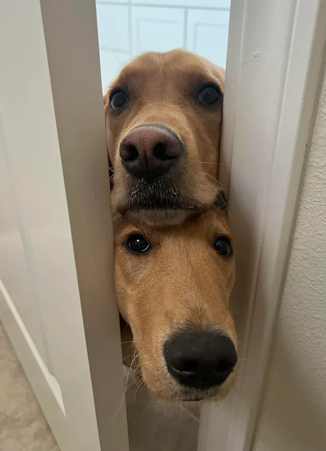 «Больше никакой приватности».