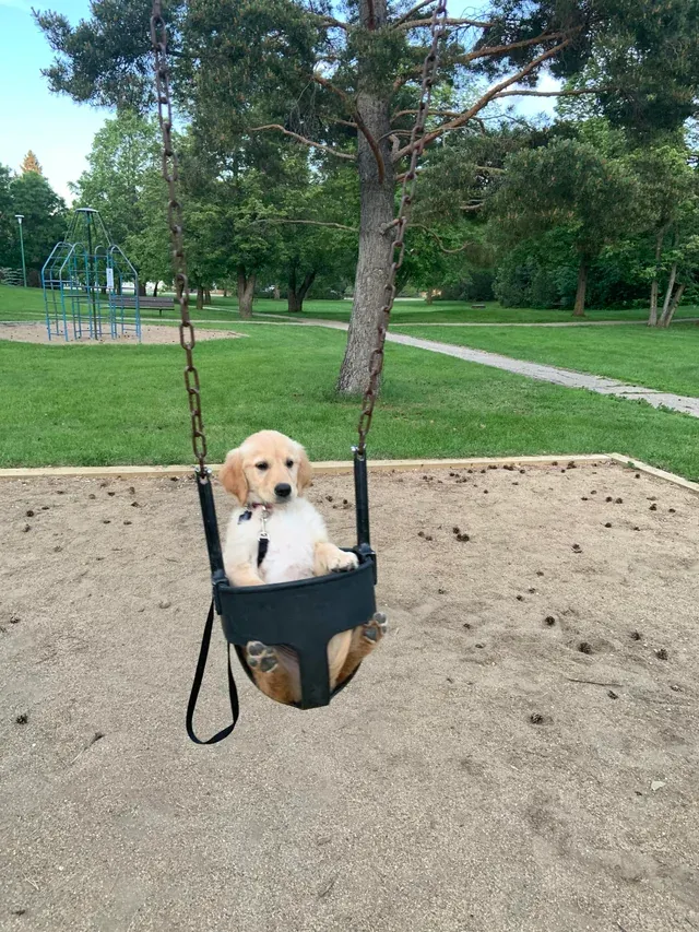 «Сейчас она уже взрослая, но я поделюсь всеми детскими фотографиями, которые у меня есть».