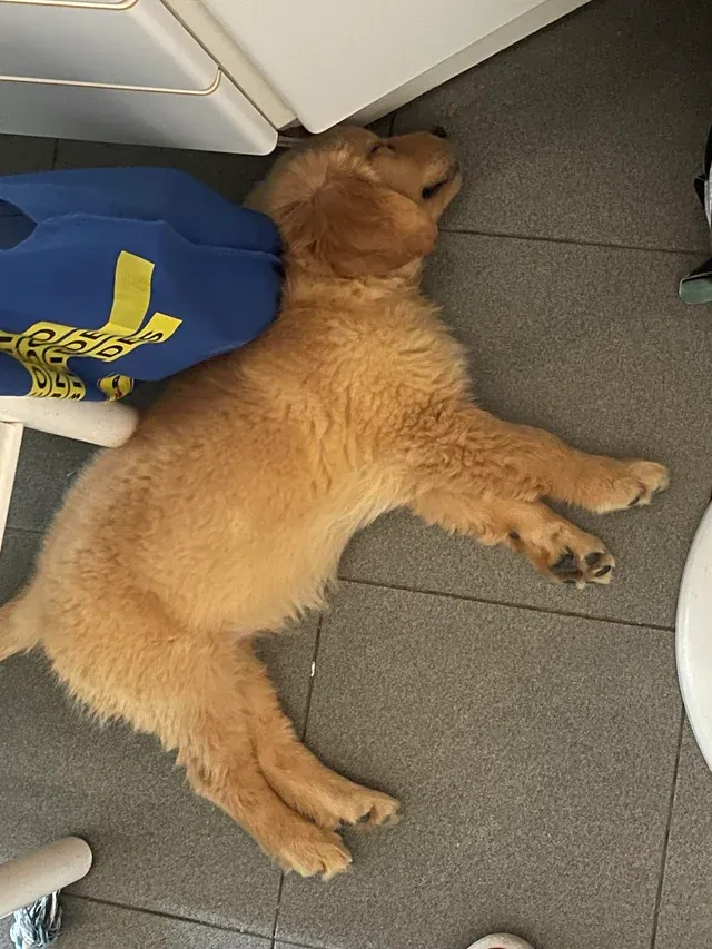 «У нее очень счастливый сон!»