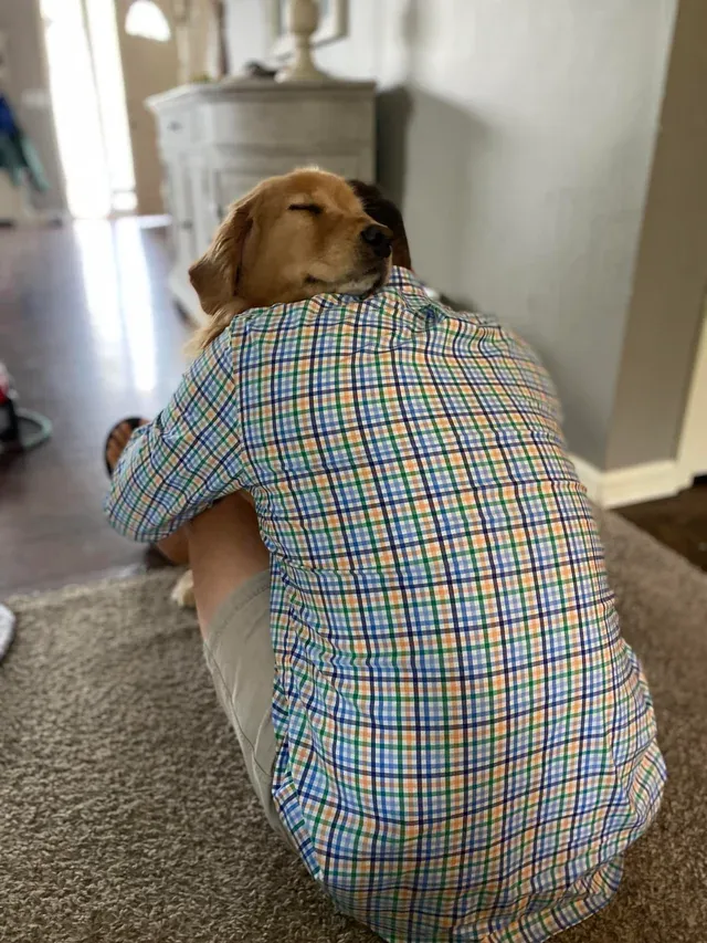 «Безусловная любовь».