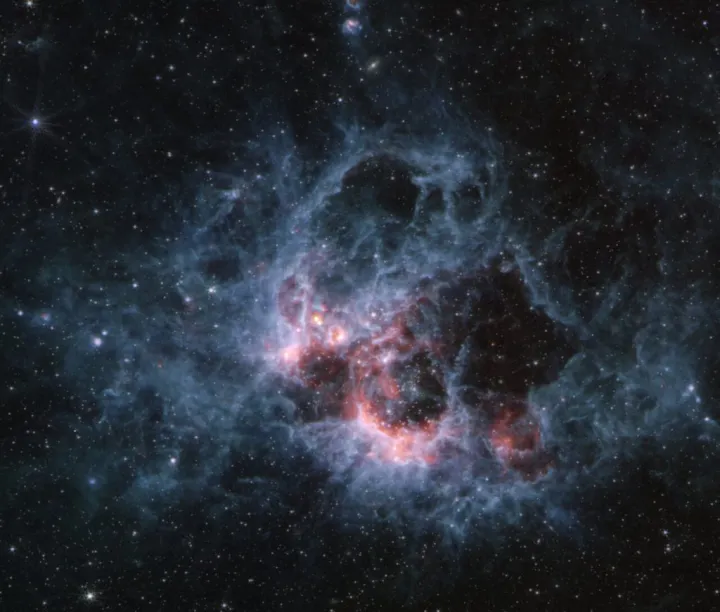 Область звездообразования, снятая прибором MIRI, выглядит более призрачной, но лучше демонстрирует кавернозные пузыри и холодные сверхмассивные звёзды.