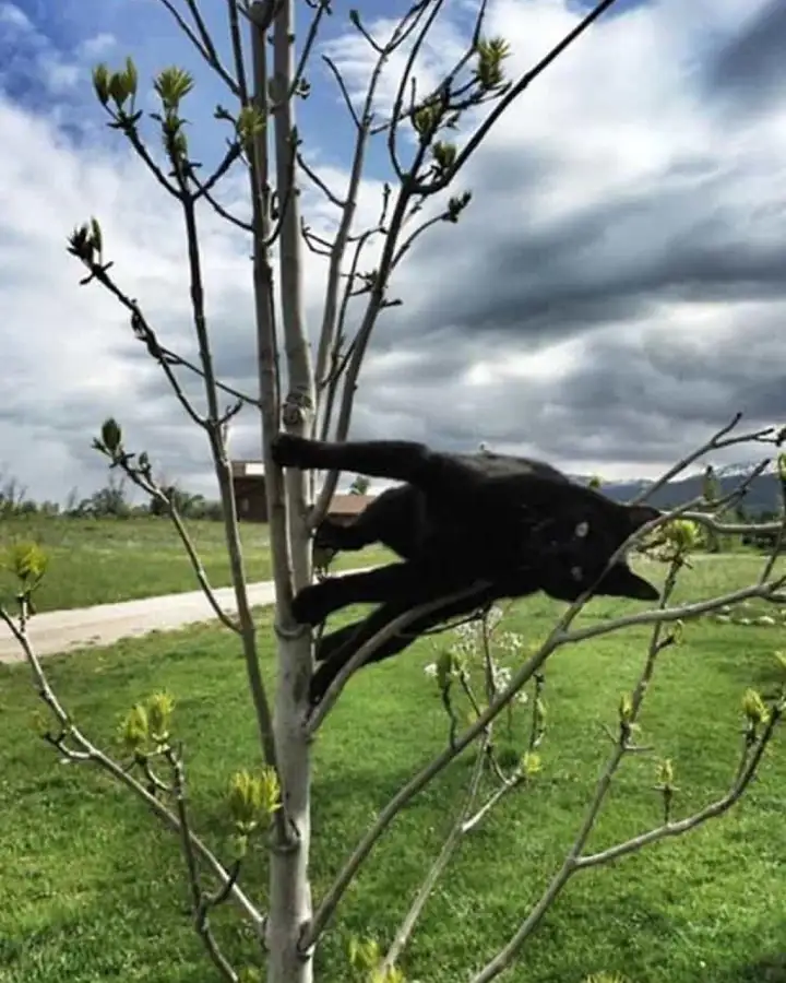 Это фото нужно перевернуть.