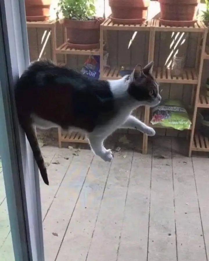 Кто-нибудь, скажите ему, что можно ходить по земле.