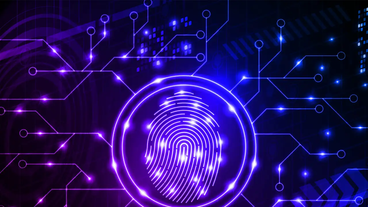 Цифровой след.