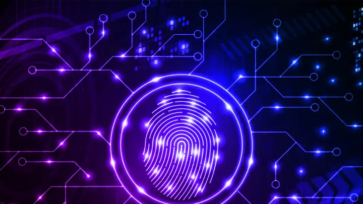 Чистим цифровой след: короткий гайд по анонимности и безопасности