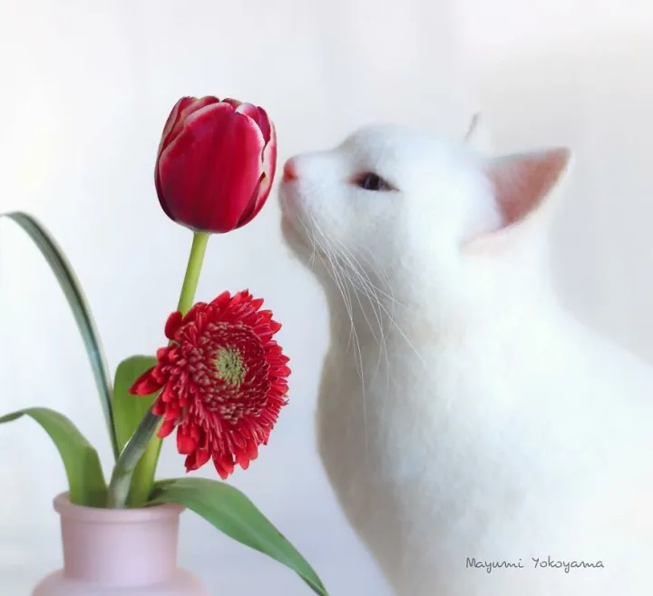 Кошки тоже любят цветы.