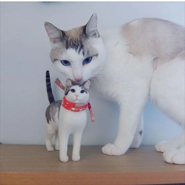Кошка со своей миниатюрной копией.