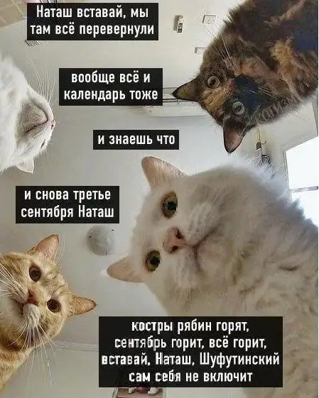 И эти тоже тут.