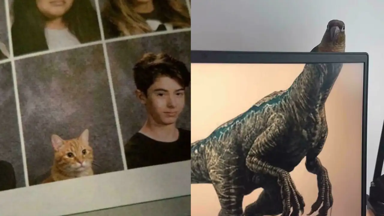 Странные фото.