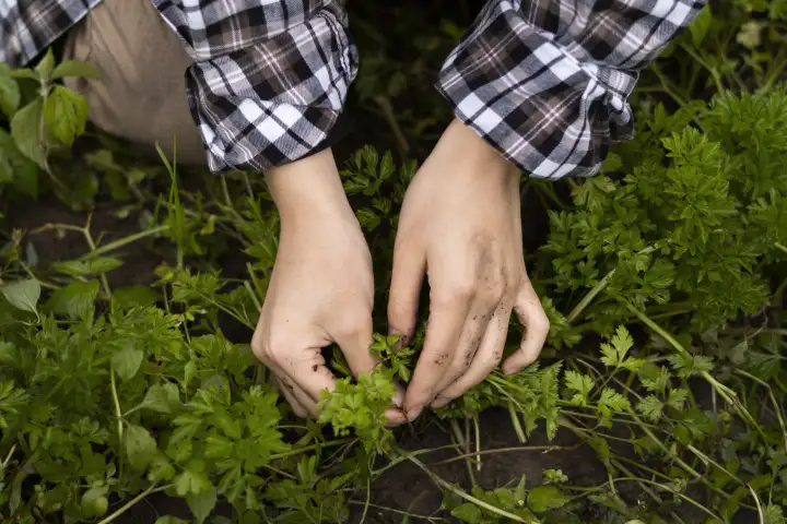 Наши руки чувствуют объект ещё до прикосновения к нему.