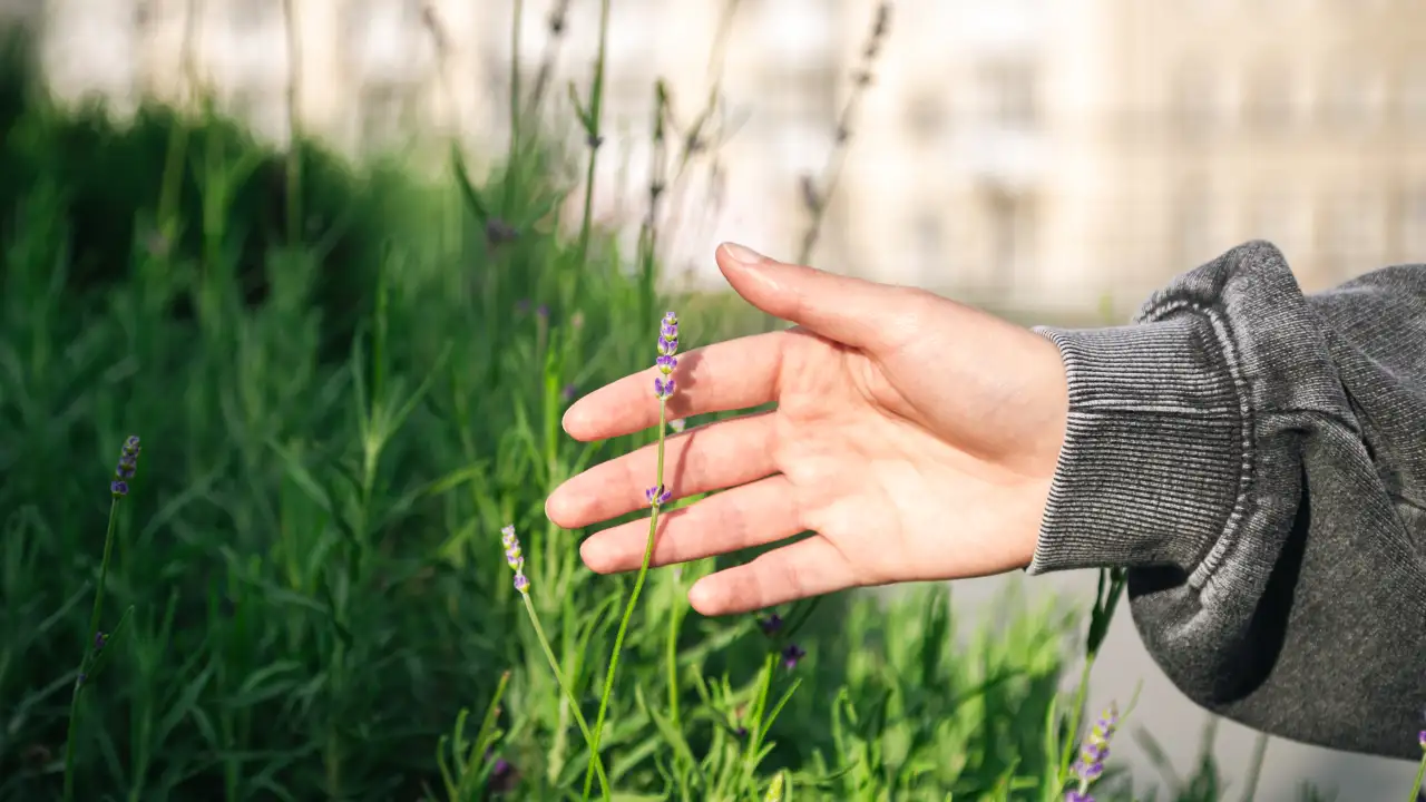 Человек касается травы.
