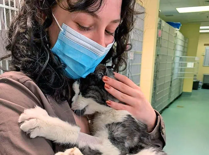 Женщина забрала 20-летнего кота из приюта, потому что не хотела, чтобы он провел остаток жизни один в клетке.
