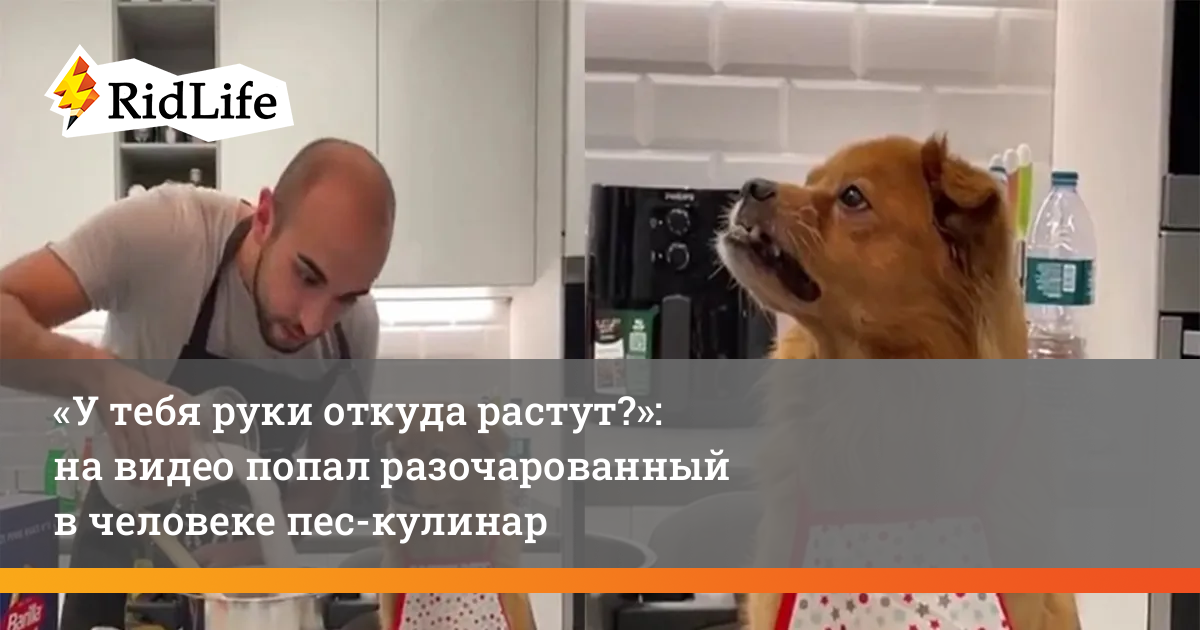 Откуда попало