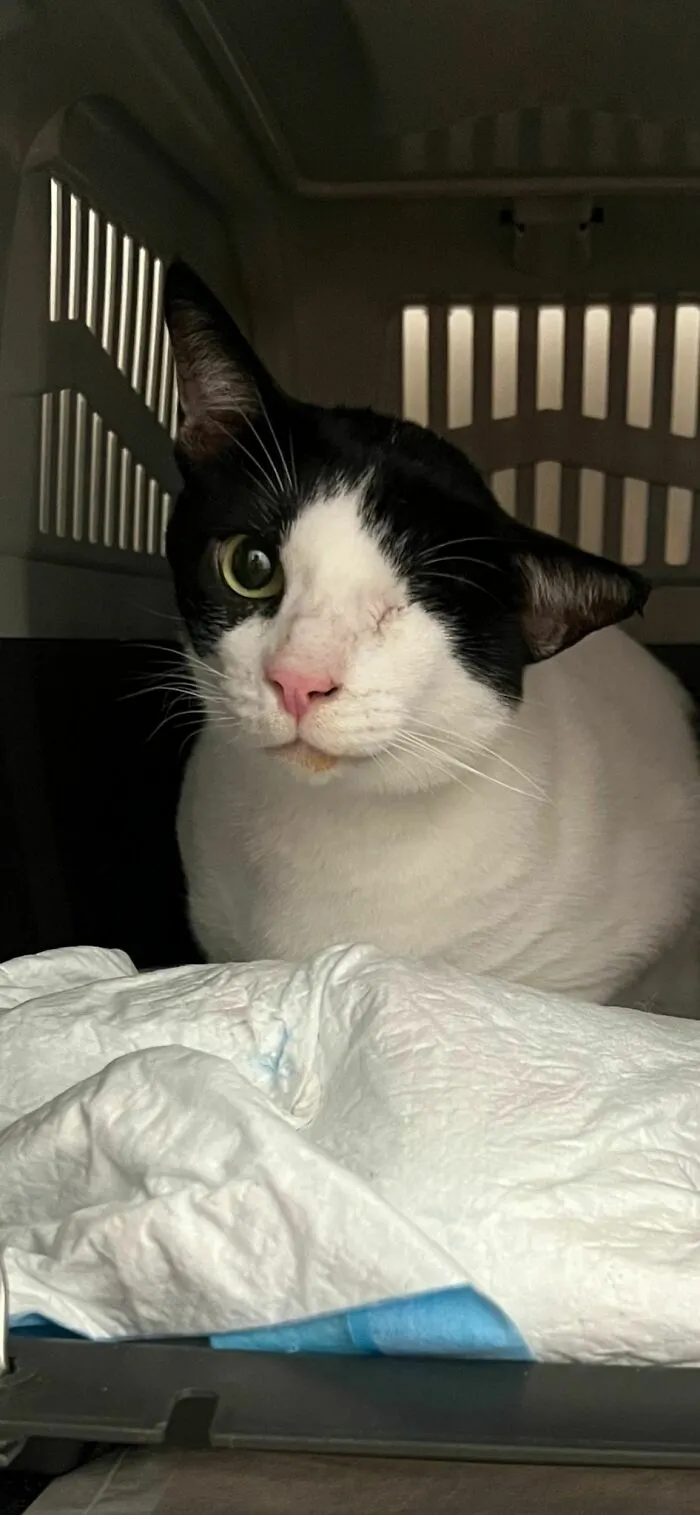 «Только что усыновил этого парня».