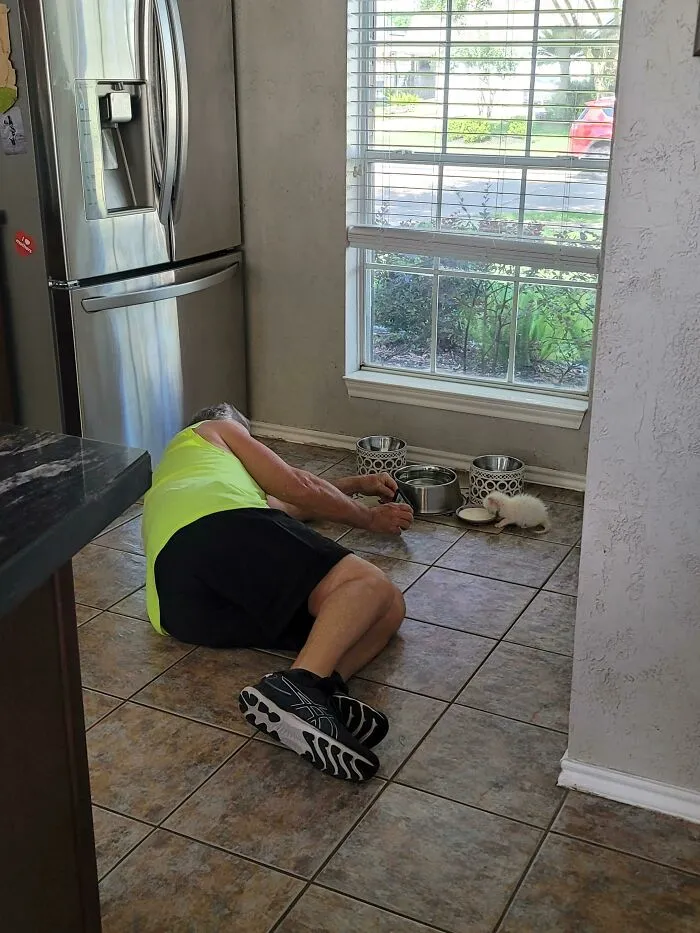 «Нет, мы отдадим ее, когда она подрастет, у нас уже есть кошка»