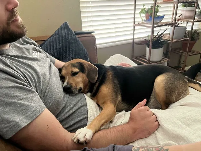 «Наш маленький спасенный хвостик».