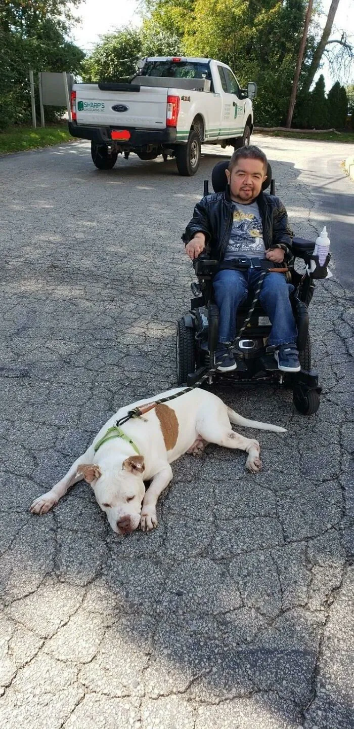 «Усыновил 15-летнего щенка. Мы оба принимаем лекарства от артрита и оба частично беззубы».