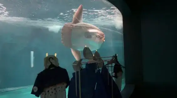 Этот необычный метод, судя по всему, оказался действенным. Как позже написали в соцсетях представители аквариума, их подопечная полностью восстановилась и вернулась к нормальной жизни.