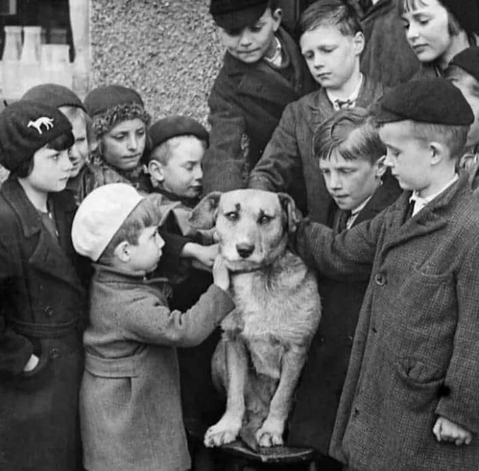 Группа детей организовала уход за собакой после смерти ее владельца, Англия, 1936 год.