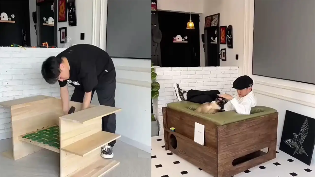 Кресло для кошатников.