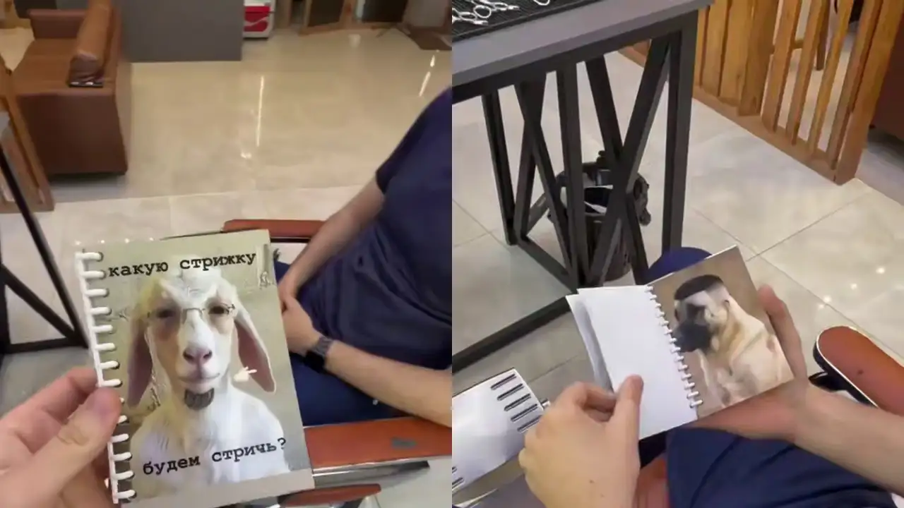 Мемные стрижки с животными в каталоге.