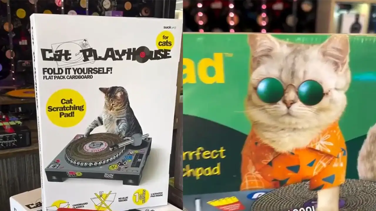 Когтеточки.