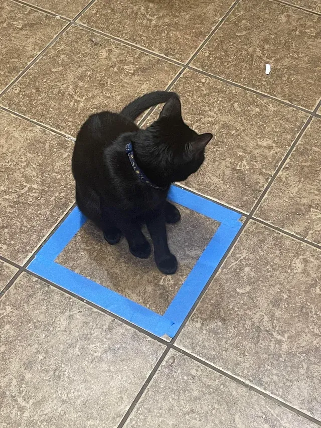 «Это было слишком легко».