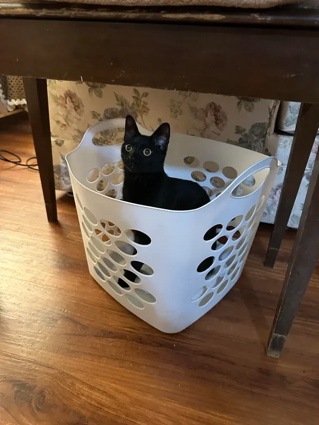 «Я думал, что закончил стирку…»