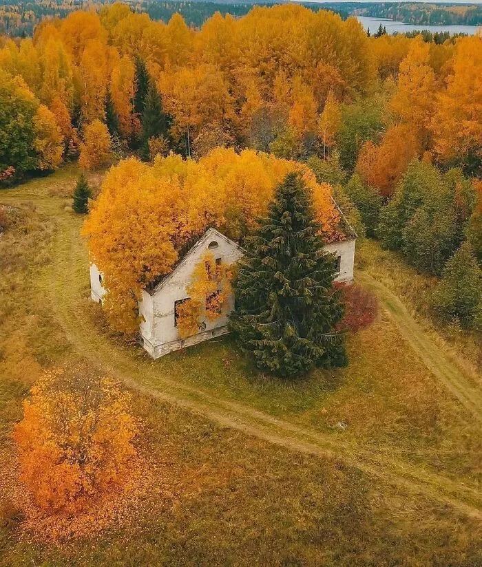 Заброшенный дом в Карелии.